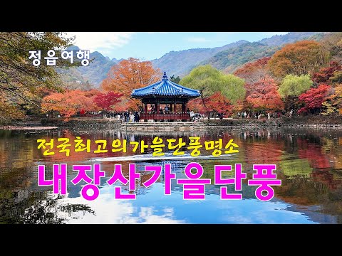 2024.정읍 내장산 가을단풍 | 우화정 | 내장사단풍 | 내장사 | 단풍명소 | 4K UHD