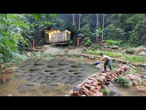 Full Video: Build houses, fish ponds, gardens, alone build life last for hundreds years in forest