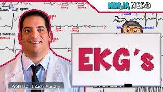 Cardiovascular | EKG's