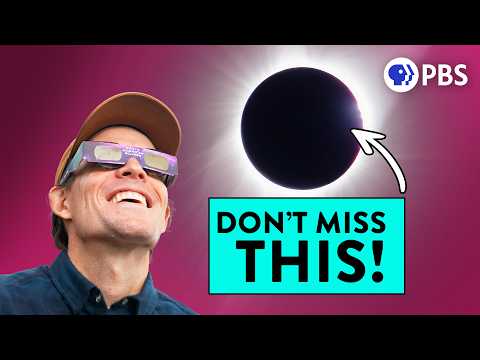 Why Solar Eclipses Are Such a Big Deal