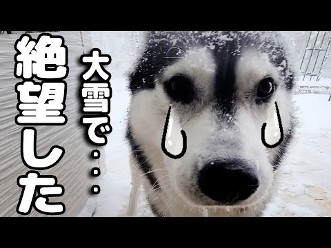 大雪で自宅オワタ...