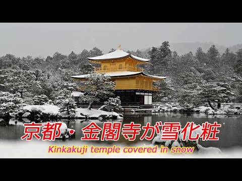 【京都の雪】京都・金閣寺が雪化粧（2025年2月8日　京都市北区）　World Heritage Kinkakuji Temple covered in snow