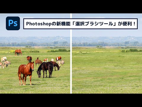 新しい「選択ブラシツール」はワンタッチで熟練の技を再現！【簡単なのにすごい! Photoshop 1分講座】