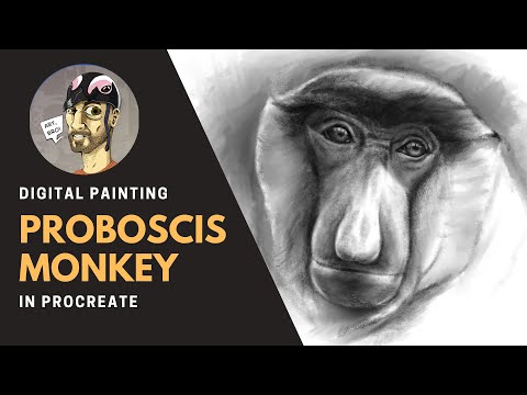 Animal Portrait Sketch Ep 4: Painting a Proboscis Monkey in Procreate