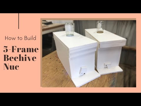 How to Build A 5 Frame Beehive Nucleus