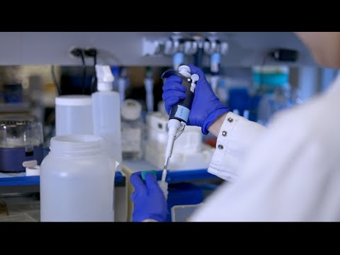 Medical School Research: Using Cancer’s Strength to Fight Against It