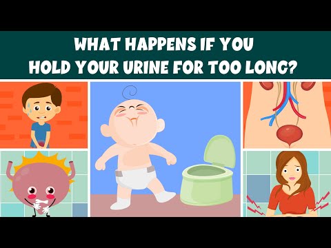 What Happens If You Hold Your Urine In For Too Long? - Learning Junction