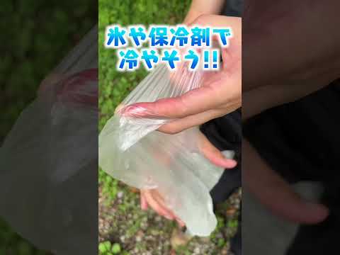 夏キャンプでアブに噛まれた時の対処法