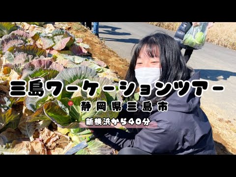 【vlog】三島ワーケーションに参加。三島は静岡の表参道だった。