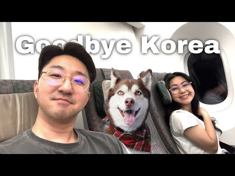 We Moved to Da Nang, Vietnam (Leaving Korea)