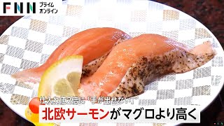 北欧サーモンがマグロより高値に…仕入れ値2倍で回転寿司店「手が出せない」ロシア領空飛べず輸送コスト増