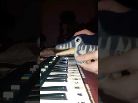 Piano Dolphins Vlog (old)