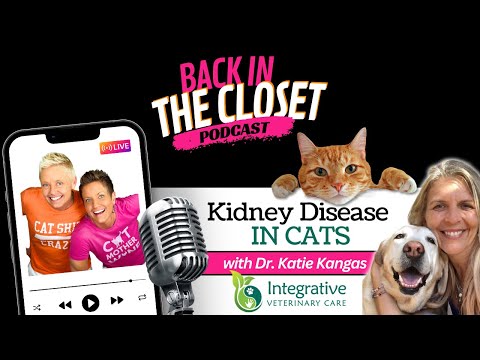 Kidney Disease in Cats with Dr. Katie Kangas | Back In The Closet Podcast