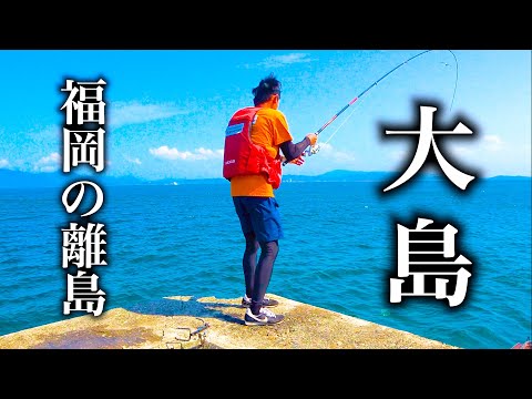 福岡の離島大島で水中カメラで釣り調査をすると…水中映像有【初級】大島