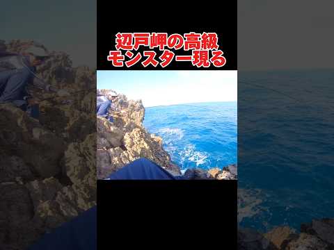 辺戸岬の高級魚現れる#釣り#沖縄#辺戸岬