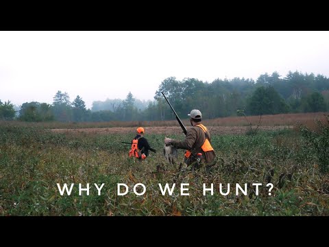 Why Do We Hunt? - Upland Hunting Opening Week New Hampshire