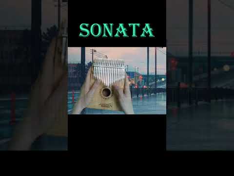 Sonata (Kalimba )#Shorts