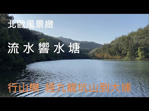 流水響 - 九龍坑山 - 大埔 - ｛山野篇 Hong Kong Hiking}