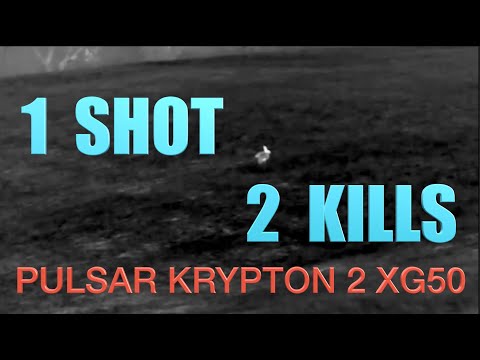 Hunting Shooting Rabbits - 1 Shot 2 Kills!