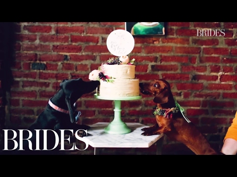 This Wiener Dog Wedding Is the Cutest | BRIDES