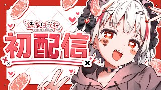 【 #初配信 】オタク達！錆多はがねだぞ！【 #新人vtuber 】