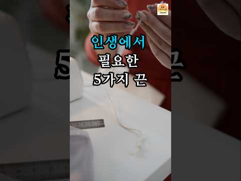 인생에서 필요한 5가지 끈, 당신은 어떤 사람인가요?ㅣ인생조언 ㅣ인생교훈