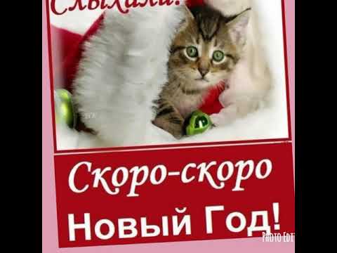 🎄☃️🍾Скоро скоро новый год... 🍾🍷🎄