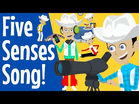 The 5 Senses | Five Senses Song | Hearing Sight Touch Taste and Smell | Science Song for Children