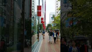 我的第一支散步影片：日本東京銀座並木通り My first walking video: Ginza, Tokyo, Japan | Japan Wanderer 日本乱流散歩【2019】