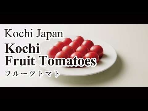 Kochi Fruit Tomatoes