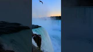 Magical Niagara falls, America🇺🇸🇺🇸 #shorts #niagarafalls #hindivlog 🇮🇳🇺🇸