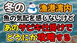 冬の漁港湾内で日中釣り、魚の気配を感じないけど、アジからチヌまで色々な魚種が狙えるあのサビキ仕掛けでどうにか攻略してみる（仕掛け解説あり）