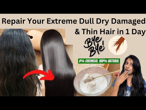 9 Days नवरात्रि *DAMAGED* HAIR CHALLENGE: Repair Your Extreme Dull Dry Damaged &Thin Hair in 1 Day