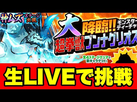 【生ライブ】超拳獣ブンナグリオス大降臨に挑戦　#にゃんこ大戦争