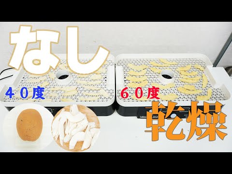 【おいしい乾燥温度】なし（梨）を40度と60度で乾燥（ドラミニ）