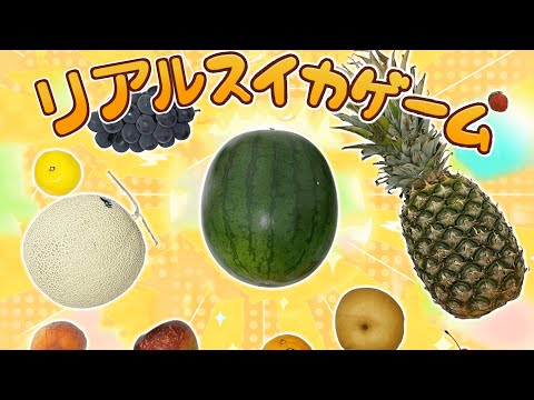 【ゆっくり実況】スイカができるまで、果物を購入し続けるスイカゲーム