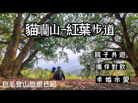 猫囒山步道-超推薦的親子、全家、情侶、夫妻一遊的步道，筆直杉林、茶園、紅葉地毯、鳥瞰雲霧嬝繞的日月潭，令人讚嘆仙境般美景的『猫囒山步道』。