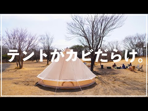 【テント】8人用テントをクリーニングへ。値段は？　#テントクリーニング