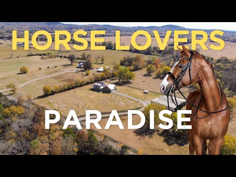 Horse Lovers Paradise