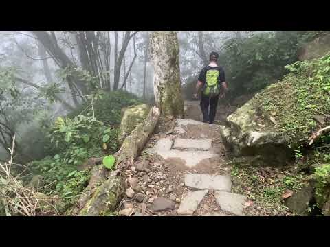 凱米颱風第13天：鳳凰山北嶺→第一、二土地公→廣闊茶園朦朧美景→溪頭天文台18.5℃→1090、857、第1賞鳥步道，總長2.5K，合稱123賞鳥步道。以上見證熱心登山客已迅速修復(含已走過的台寅山)