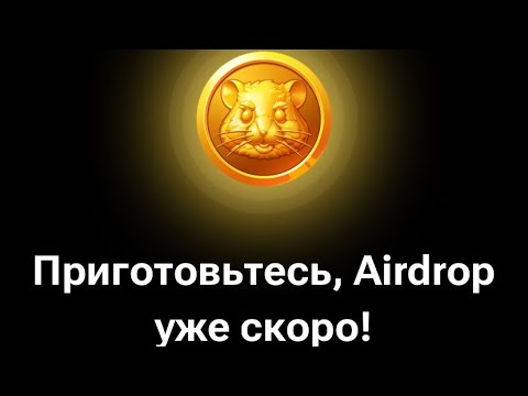 Hamster kombat как подключить свой крипто кошелек ждем аэрдроп и выводим деньги