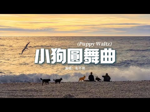 毛不易 - 小狗圓舞曲 (Puppy Waltz)『人類好奇怪 擁有整個廣闊世界，可是困住他們 只要一個雨天。』【動態歌詞MV】