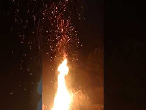 Holika Dahan 2024 #youtubeshorts #holikadahan #shorts