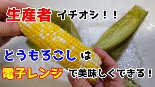 生産者おすすめ！とうもろこしは電子レンジが簡単で美味しさUP！