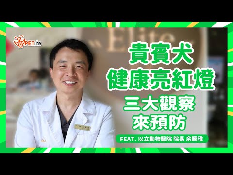 貴賓犬健康亮紅燈🚨三大觀察來預防🩺 Feat. 余騰瑋院長【哈寵小學堂】｜#哈寵PETube 第303集