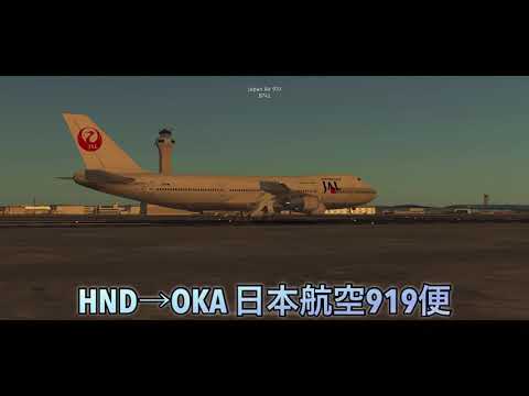 【Infinite flight】着陸シーン集めてみた