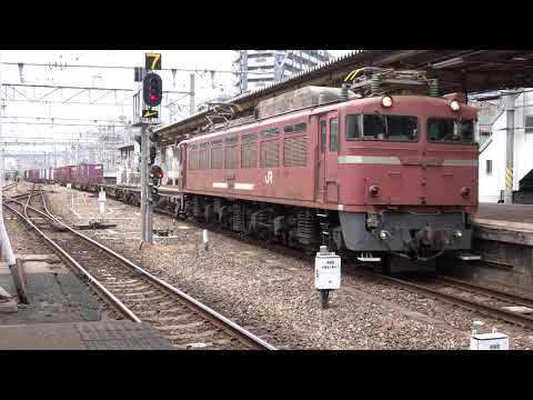 EF81 406牽引　4095レ　博多駅　2024.05.24撮影