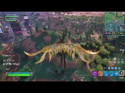 Fortnite 24kill