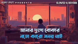 আমার দুঃখ বোঝার মতো কারো সময় নাই | Shahin Sultana Mim  | Radoyan Tamim Hridoy  | slowed reverb song