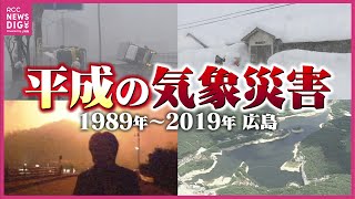 【記録】台風直撃に集中豪雨　猛暑＆冷夏に米騒動･･･　映像で振り返る「平成時代の気象災害」